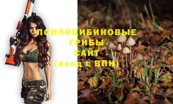 MDMA Переславль-Залесский