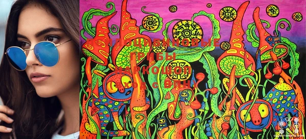 MDMA Переславль-Залесский