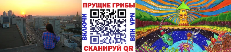 Псилоцибиновые грибы мицелий  Купить  Симферополь 